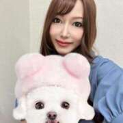 ヒメ日記 2025/07/05 18:34 投稿 灰田くれあ アロマファンタジー高輪