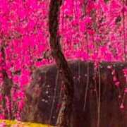 土屋 えみり こんにちは🌸 神戸RED DRAGON