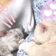 ヒメ日記 2025/06/01 18:55 投稿 もえ 翡翠の夢