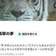 ヒメ日記 2025/08/24 21:56 投稿 もえ 翡翠の夢