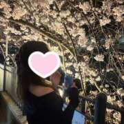 ヒメ日記 2026/05/08 10:52 投稿 白咲　ゆゆ クラブダンディー