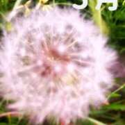 ヒメ日記 2025/05/02 07:49 投稿 ちまこ(昭和48年生まれ) 熟年カップル名古屋～生電話からの営み～