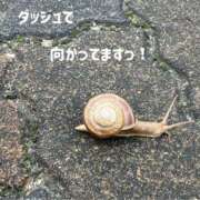 ヒメ日記 2025/05/13 09:41 投稿 ちまこ(昭和48年生まれ) 熟年カップル名古屋～生電話からの営み～