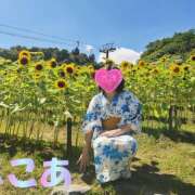 ヒメ日記 2025/07/31 12:38 投稿 杉浦ここあ 五十路マダム 徳島店