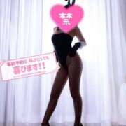 ナギサ【SSS級の可愛さ】 もう間もなく🫶 バニーコレクション 中洲店