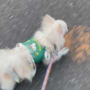 ヒメ日記 2025/04/22 19:34 投稿 天海　はるか エンジェルコースト