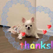 ヒメ日記 2025/04/24 18:52 投稿 天海　はるか エンジェルコースト