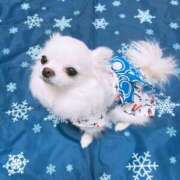 ヒメ日記 2025/04/30 14:50 投稿 天海　はるか エンジェルコースト