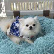 ヒメ日記 2025/05/06 12:31 投稿 天海　はるか エンジェルコースト