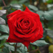 ヒメ日記 2025/05/07 23:47 投稿 天海　はるか エンジェルコースト