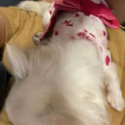 ヒメ日記 2025/05/09 08:19 投稿 天海　はるか エンジェルコースト