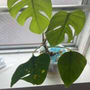 ヒメ日記 2025/05/09 12:50 投稿 天海　はるか エンジェルコースト