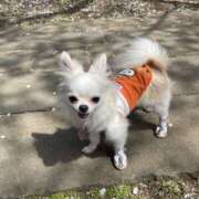 ヒメ日記 2025/05/11 19:08 投稿 天海　はるか エンジェルコースト