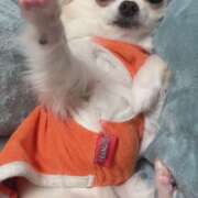 ヒメ日記 2025/05/14 13:28 投稿 天海　はるか エンジェルコースト