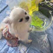 ヒメ日記 2025/05/16 17:06 投稿 天海　はるか エンジェルコースト