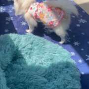 ヒメ日記 2025/05/20 20:04 投稿 天海 はるか エンジェルコースト