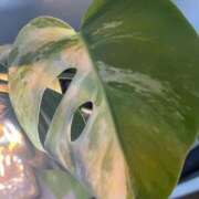 ヒメ日記 2025/05/21 19:16 投稿 天海　はるか エンジェルコースト