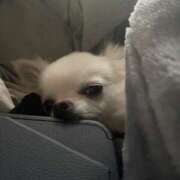 ヒメ日記 2025/05/25 13:08 投稿 天海　はるか エンジェルコースト