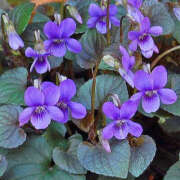 ヒメ日記 2025/05/29 11:09 投稿 天海　はるか エンジェルコースト