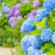 ヒメ日記 2025/05/29 14:03 投稿 天海　はるか エンジェルコースト