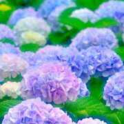 ヒメ日記 2025/05/30 10:19 投稿 天海　はるか エンジェルコースト