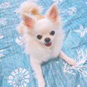 ヒメ日記 2025/06/06 12:41 投稿 天海　はるか エンジェルコースト