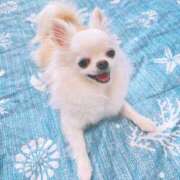 ヒメ日記 2025/06/11 10:17 投稿 天海　はるか エンジェルコースト