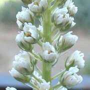 ヒメ日記 2025/06/13 23:05 投稿 天海　はるか エンジェルコースト