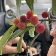 ヒメ日記 2025/06/15 14:51 投稿 天海　はるか エンジェルコースト