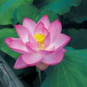 ヒメ日記 2025/06/18 10:32 投稿 天海　はるか エンジェルコースト