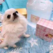 ヒメ日記 2025/06/25 07:01 投稿 天海　はるか エンジェルコースト