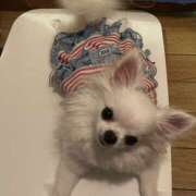 ヒメ日記 2025/07/11 20:18 投稿 天海　はるか エンジェルコースト