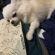 ヒメ日記 2025/07/15 07:33 投稿 天海　はるか エンジェルコースト