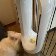 ヒメ日記 2025/07/15 15:12 投稿 天海　はるか エンジェルコースト