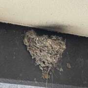 ヒメ日記 2025/07/17 15:53 投稿 天海　はるか エンジェルコースト