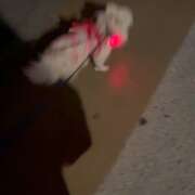 ヒメ日記 2025/08/03 21:41 投稿 天海　はるか エンジェルコースト