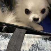 ヒメ日記 2025/08/21 17:58 投稿 天海　はるか エンジェルコースト