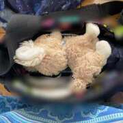 ヒメ日記 2025/08/27 09:15 投稿 天海　はるか エンジェルコースト