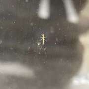 ヒメ日記 2025/08/29 20:12 投稿 天海　はるか エンジェルコースト