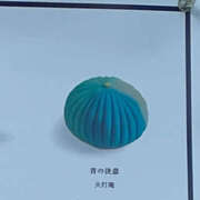 ヒメ日記 2025/09/15 21:57 投稿 天海　はるか エンジェルコースト