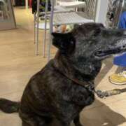 ヒメ日記 2025/10/03 19:48 投稿 天海　はるか エンジェルコースト