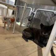 ヒメ日記 2025/10/04 07:07 投稿 天海　はるか エンジェルコースト