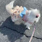 ヒメ日記 2025/10/10 09:50 投稿 天海　はるか エンジェルコースト