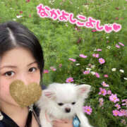 ヒメ日記 2025/10/11 09:06 投稿 天海　はるか エンジェルコースト