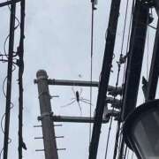 ヒメ日記 2025/10/14 09:05 投稿 天海　はるか エンジェルコースト