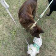 ヒメ日記 2025/10/18 10:37 投稿 天海　はるか エンジェルコースト