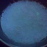 ヒメ日記 2025/10/25 16:37 投稿 天海　はるか エンジェルコースト