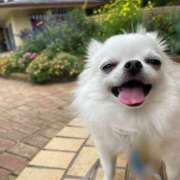 ヒメ日記 2025/11/17 21:35 投稿 天海　はるか エンジェルコースト