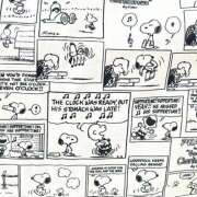 ヒメ日記 2025/11/19 19:55 投稿 天海　はるか エンジェルコースト