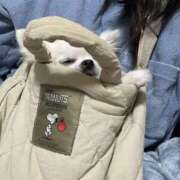 ヒメ日記 2025/11/25 07:28 投稿 天海　はるか エンジェルコースト